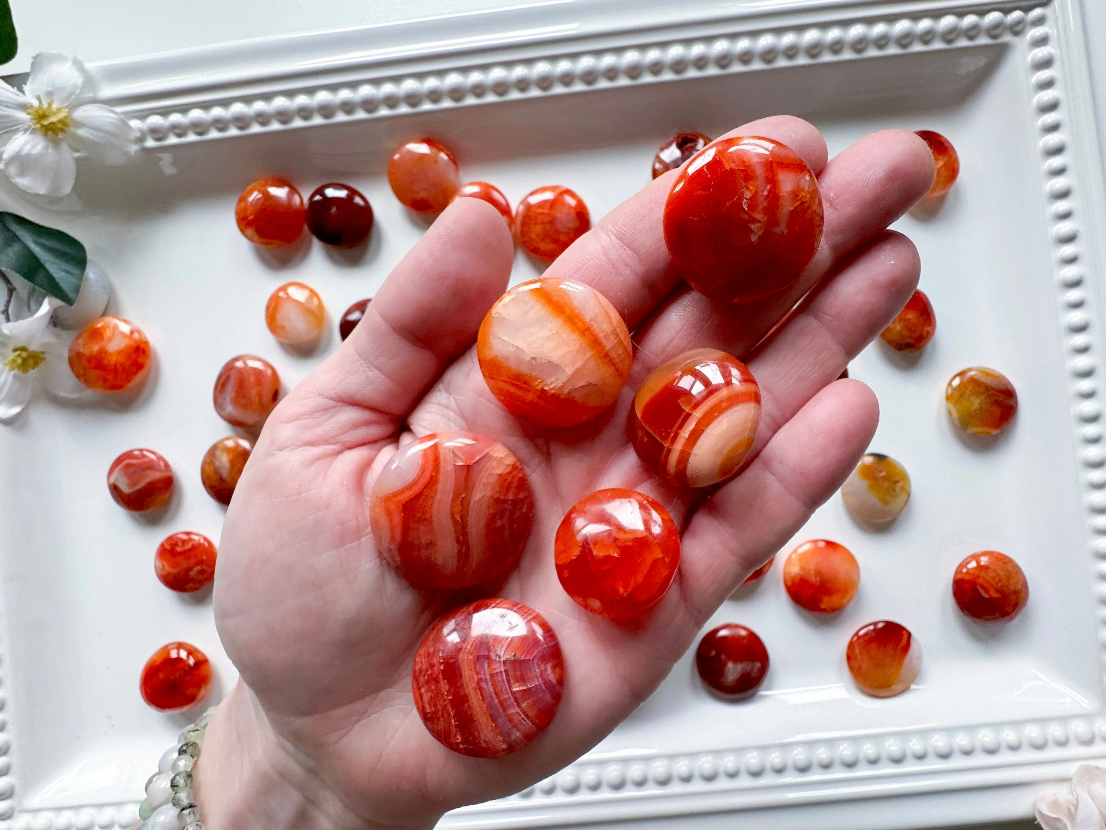 Carnelian Mini UFO Palm Stone