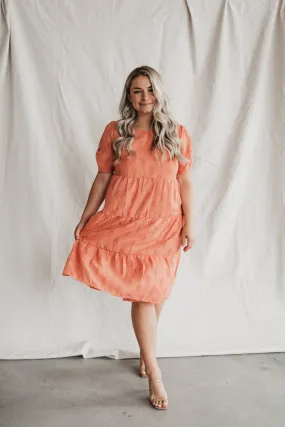 Isabella Ruffle Dress in Apricot