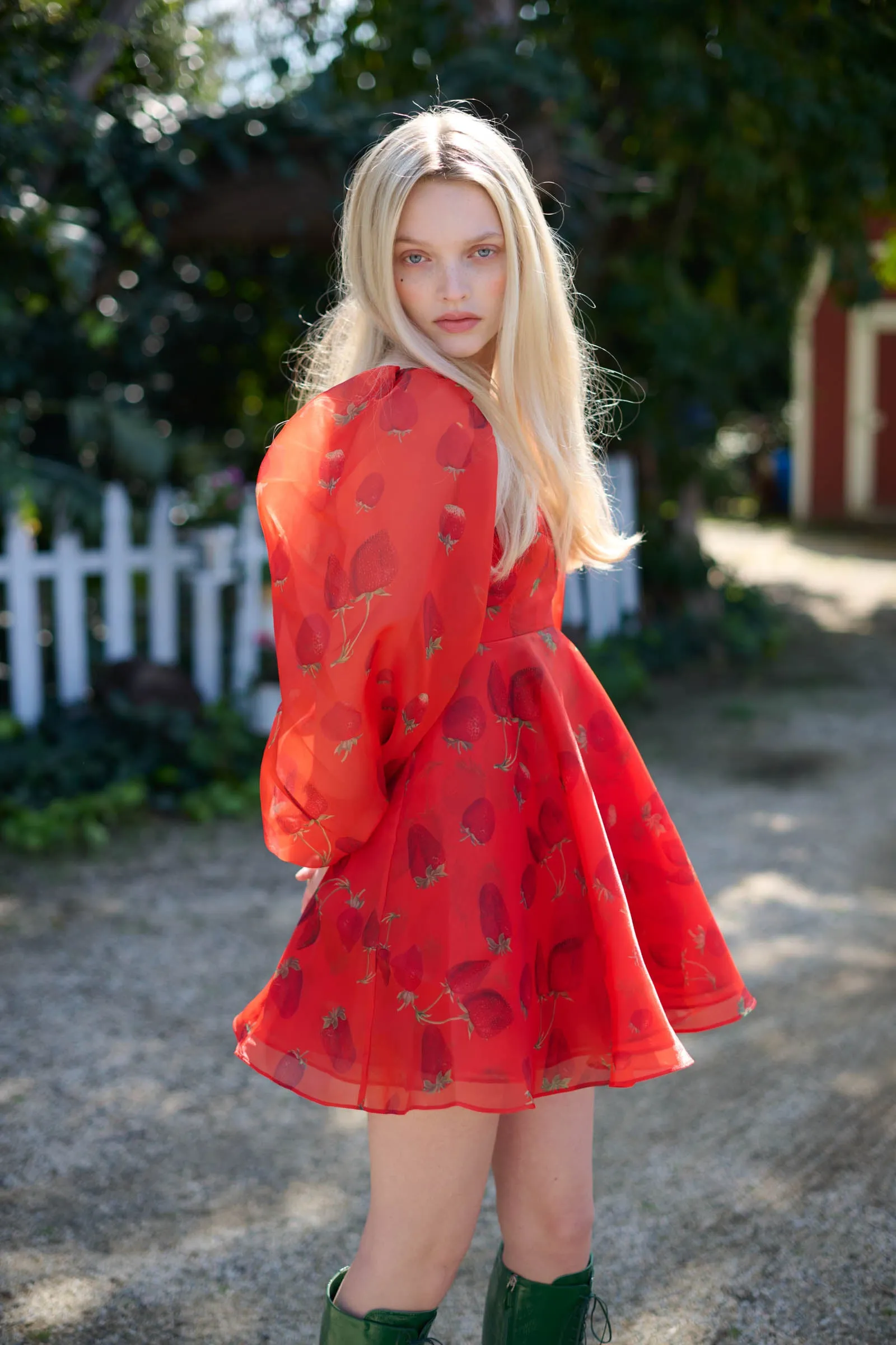 Like Strawberries Princess Dress